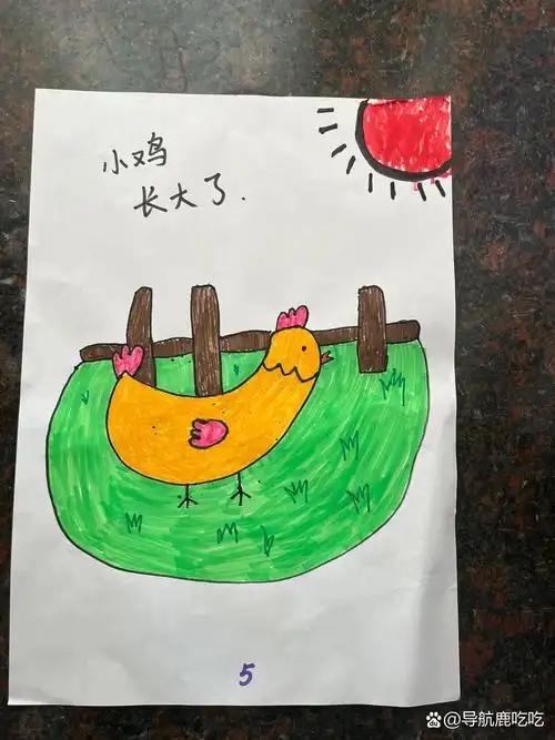自制绘本✅✅《小鸡成长记》