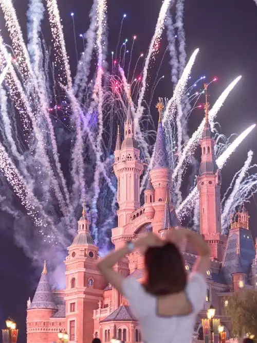 总要来上海迪士尼拍一次烟花吧