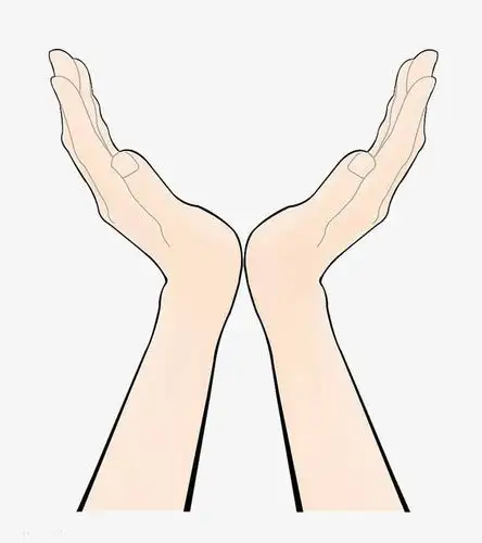 向上托起的双手