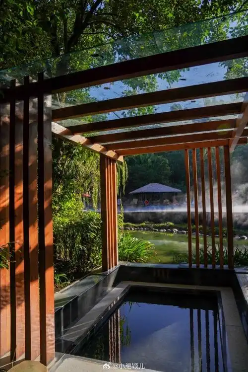 #微博旅行100计划##花样漳州暖冬之旅##新年打卡花样漳州#