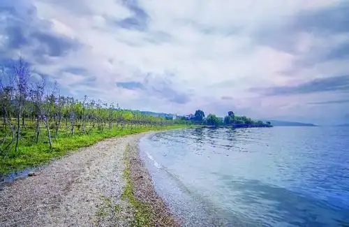 澄江新河口湖滨公园游玩攻略简介,澄江新河口湖滨公园门票/地址/图片