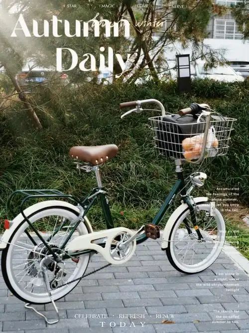 自带车锁的自行车出门安心了不少