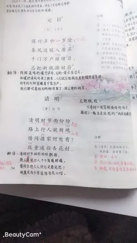 南小留小学——三年级语文第9课古诗三首《清明》微课学习