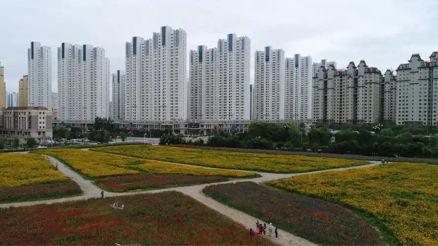 西宁市城西区海湖新区花海(二)20180902