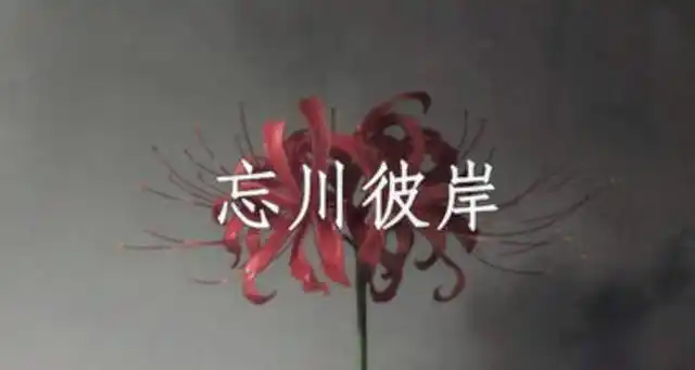 忘川彼岸歌词表达什么意思