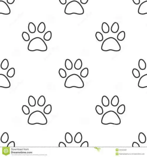 简笔画猫脚印所有小动物脚印简笔画