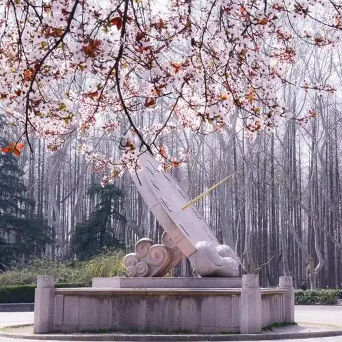 2020年张家口志愿填报南京理工大学