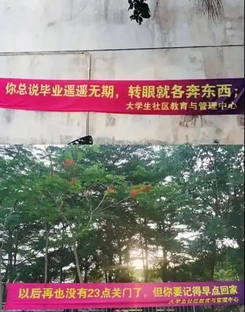 这些高校毕业季横幅太催泪