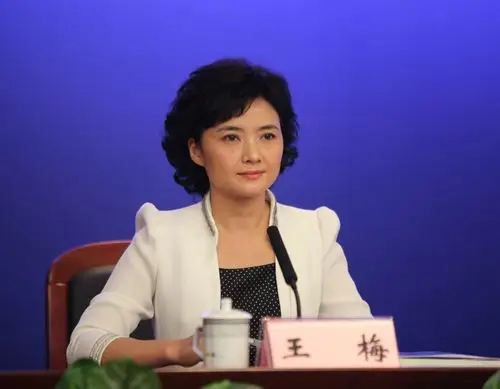 主持人深圳大运会组委会专职新闻发言人王梅