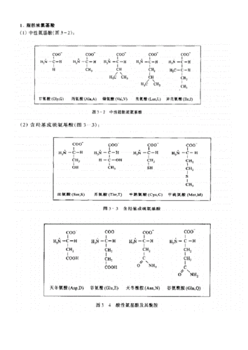 20种氨基酸化学结构式.docx