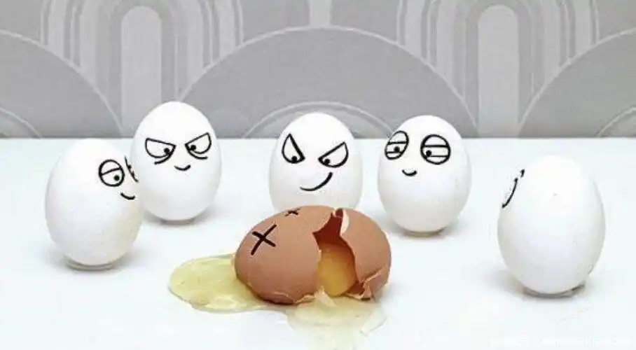 乐嘉蛋碎事件视频碎了一个蛋蛋是怎么回事