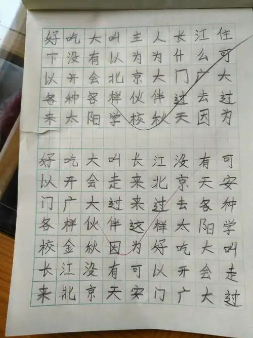 一年级小学生字写的够范儿
