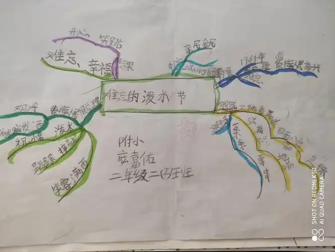 《难忘的泼水节》思维导图