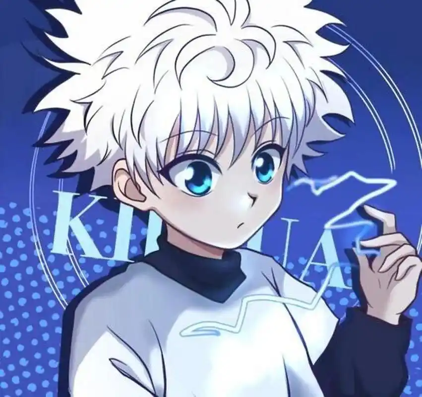 全职猎人头像推荐之奇犽篇