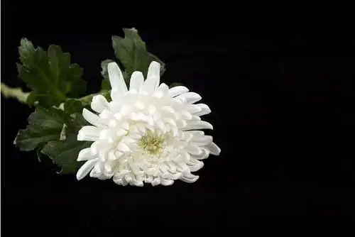 公安部发唁电哀悼节日安保中牺牲重庆民警杨雪峰