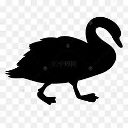 鸭子剪影黑色动物羽毛