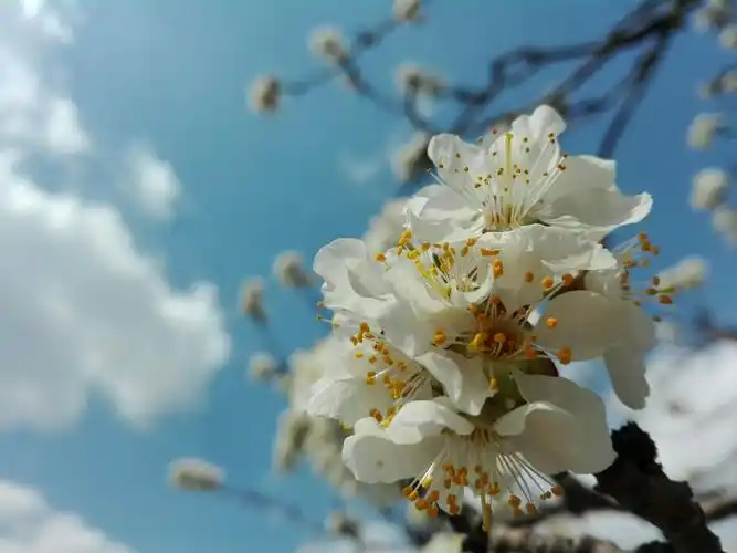 春天暖花开,万物复苏,去亲近大自然的美景吧!