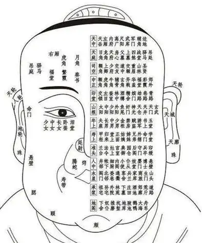 面相口诀100准确