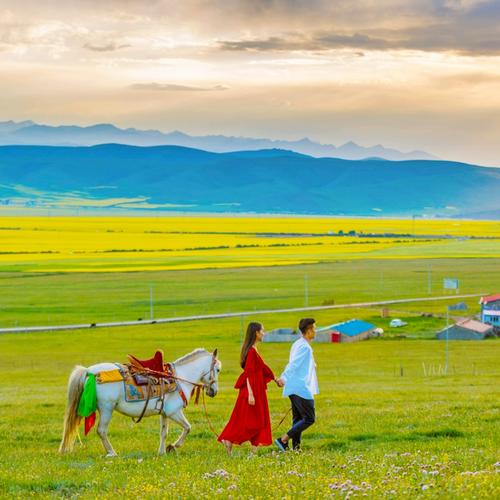 内蒙古呼和浩特旅游  希拉穆仁草原一日游