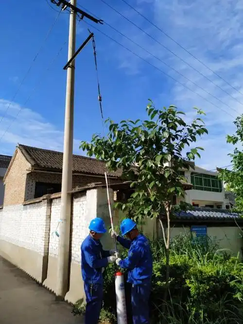 陇县供电分公司为电杆拉线穿上"安全服"