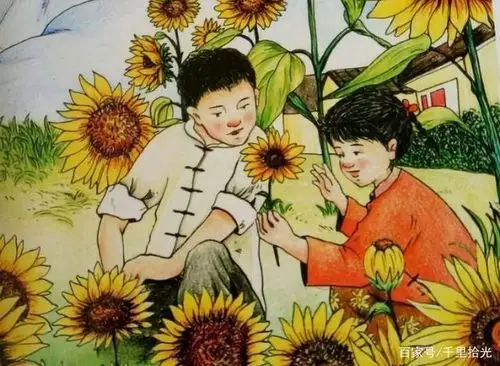 值得一读的好书——《青铜葵花》