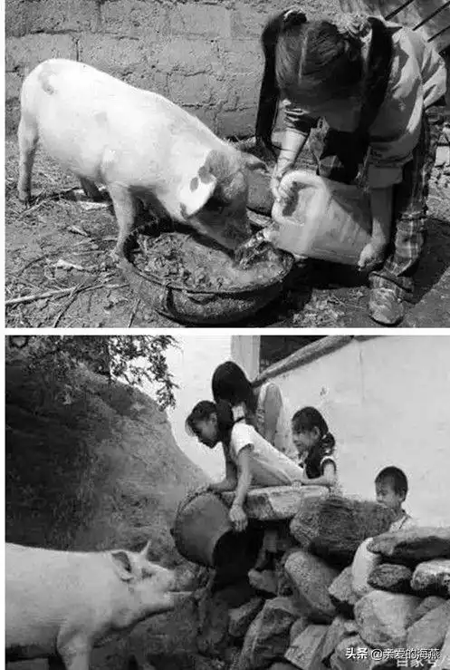 童年的回忆图片(50张老照片) - 赤虎壹号