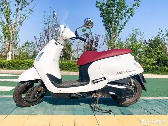 纯洁说 篇十二:闲鱼买车全纪录,复古小踏板三阳飞度4_摩托车整车_什么