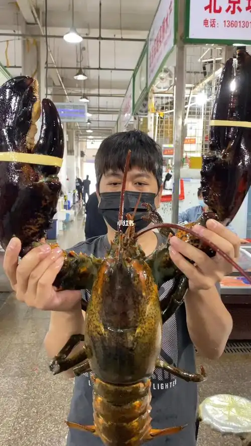 客户家里给老人办大寿十斤多的大龙虾安排