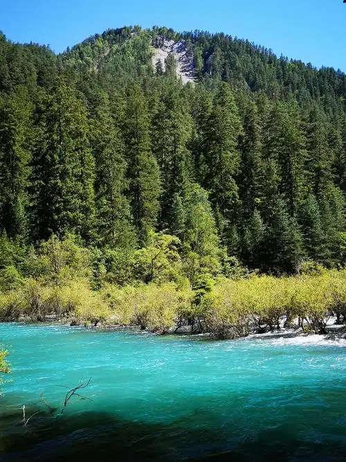 九寨沟树正群海