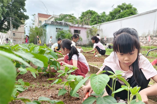 主题绘画敬劳动.手抄报是学生们展示创意和才华的平台.
