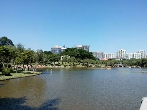 单生三水一日游.图片摄于西南公园