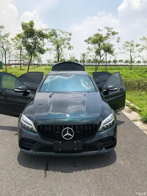 【图】c级祖母石绿,特别的颜色_奔驰c级论坛_汽车之家论坛