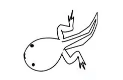 蝌蚪简笔画【教程 步骤 图解 diy】- 聚巧网