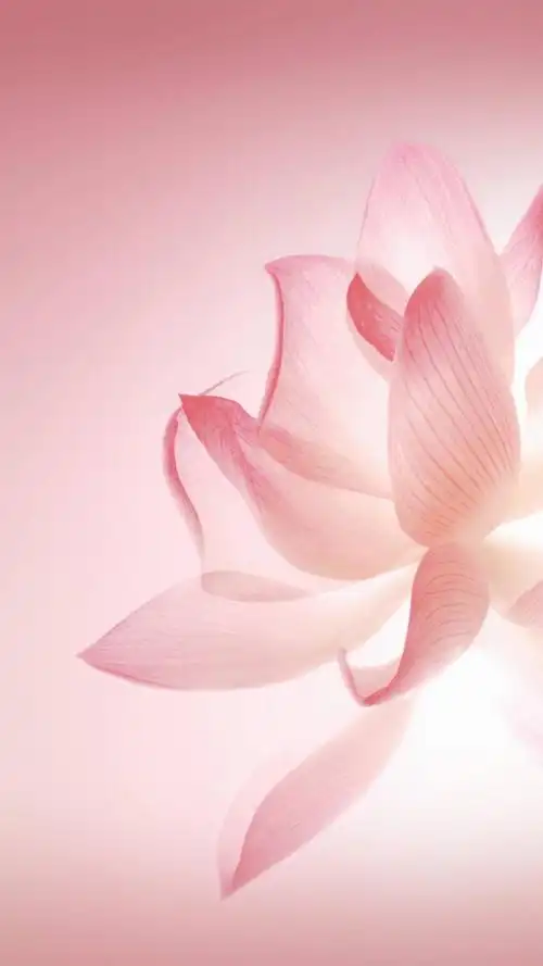 华为p10自带壁纸