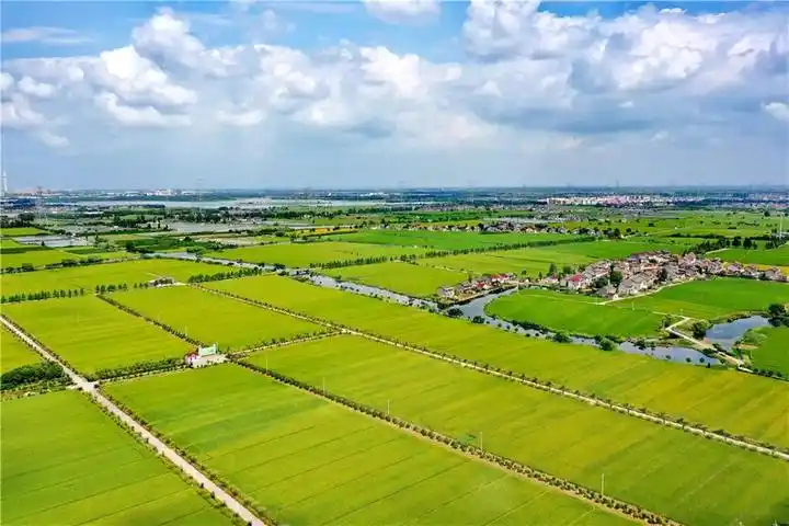 嘉善西塘:名师带徒 传承匠心