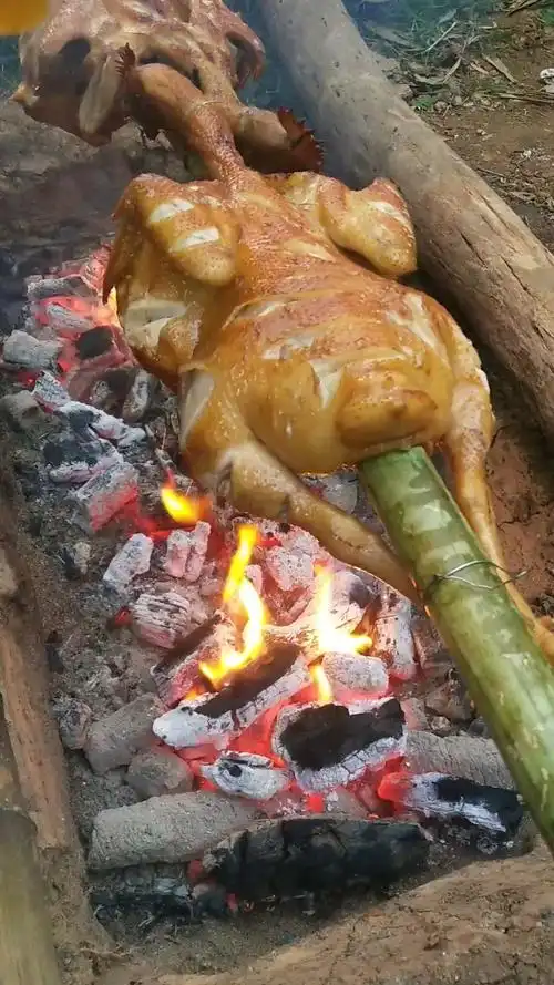 舌尖上的旅行#农村烤鸡,皮脆金黄