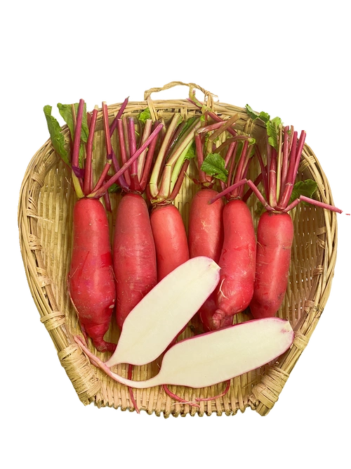 四川成都发货新鲜红皮萝卜新鲜胭脂萝卜脆嫩泡菜萝卜红萝卜现