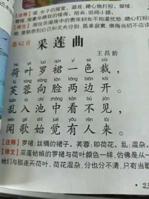 学习唐诗三百首第42采莲曲