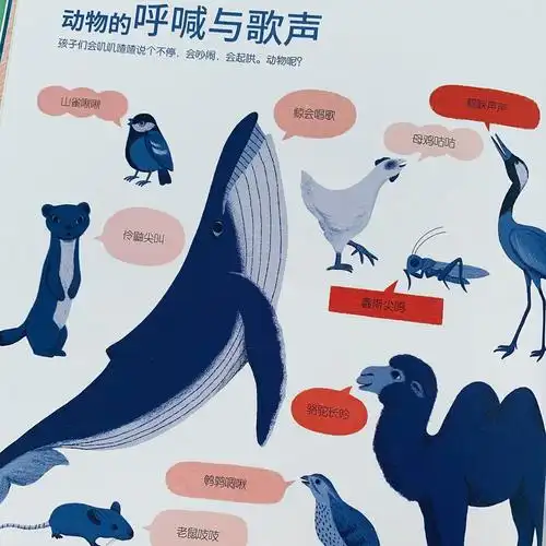 大揭秘动物声音及声音背后的自然奥秘
