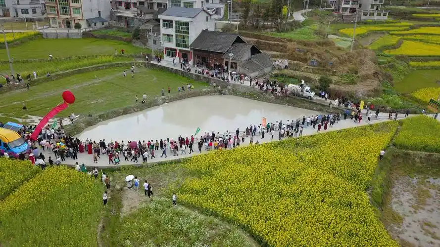 三穗油菜花节民俗活动精彩纷呈
