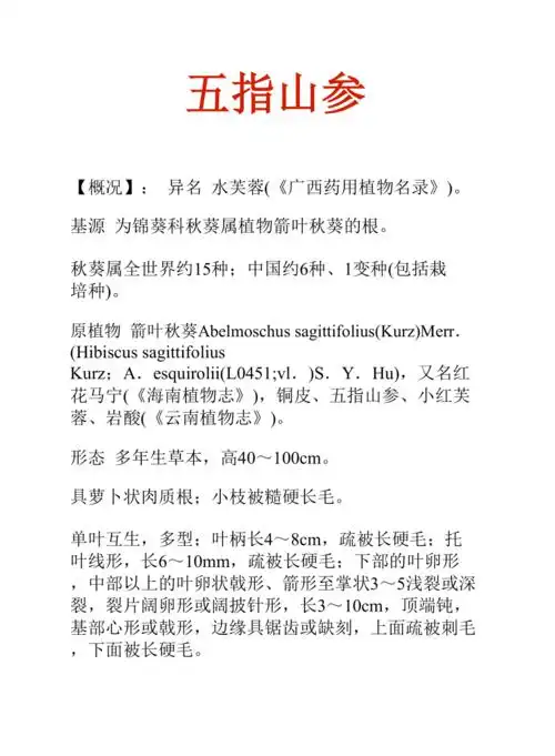 中药知识文库五指山参
