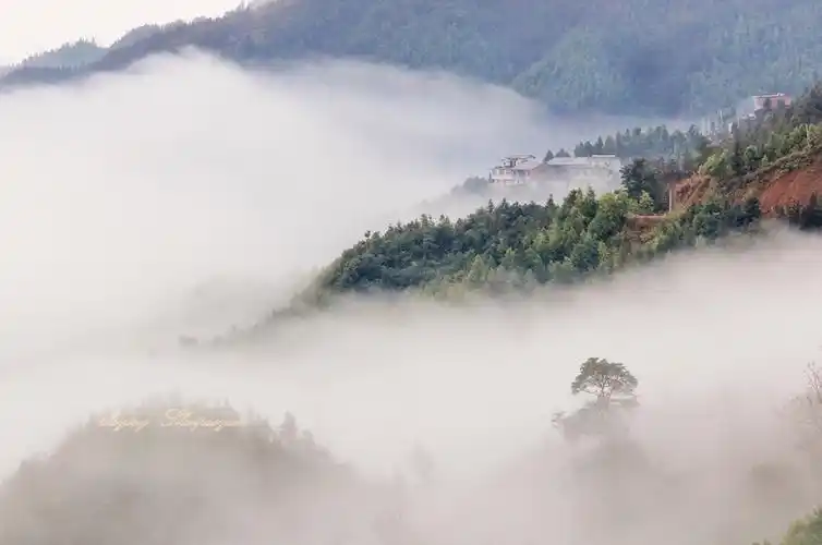 云雾缥缈似仙境