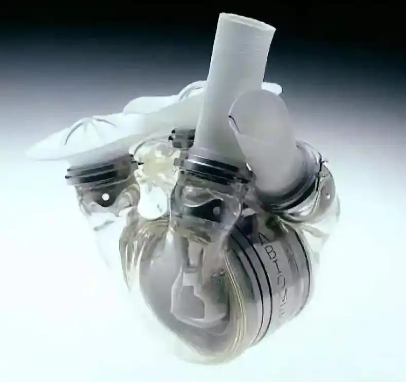 人工制造:人体心脏…… - 抖音