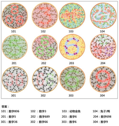 驾照体检辩色力图