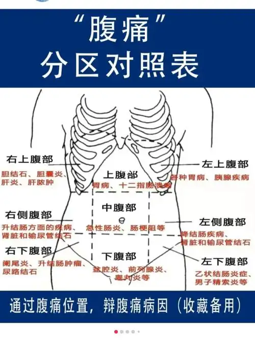 腹痛不同位置病理原因