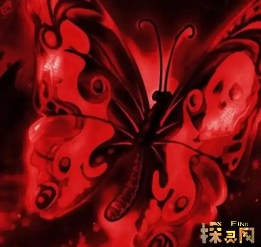 卡申夫鬼美人凤蝶,外表非常诡异能让人产生幻觉(碰见就死) — 探灵网