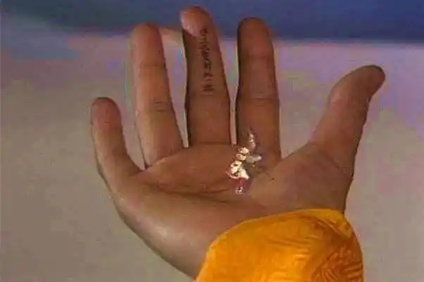 孙悟空在如来佛祖哪个手掌的哪只手指下撒尿并写下到此一游字样?