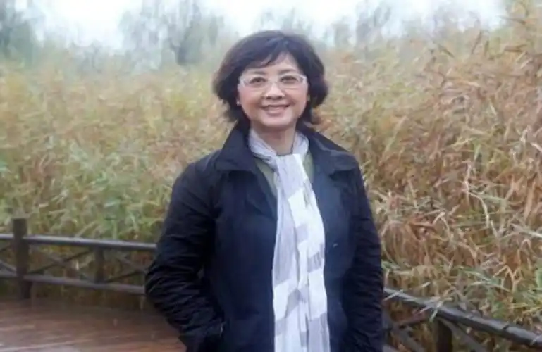 朱琳为什么不结婚原来是为事业隐婚引起老公不满