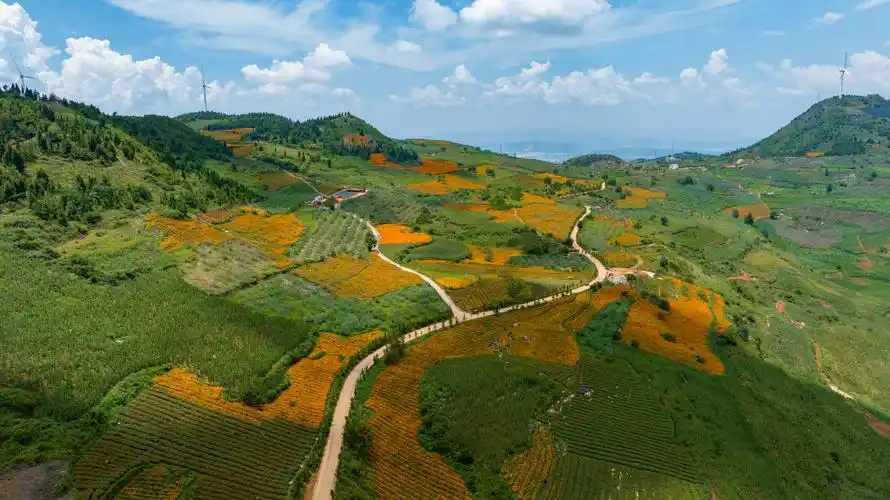 蒙自:登高俯瞰秋色美_要闻_红河频道_云南网