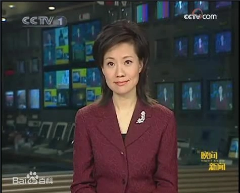 cctv电视主持人杨晨长什么样